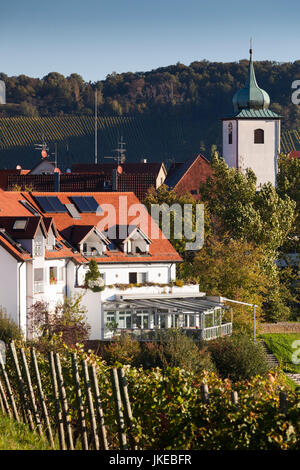 Deutschland, Baden-Württemberg, Stuttgart - Uhlbach, Weinberge oberhalb von Untertürkheim, fallen Stockfoto