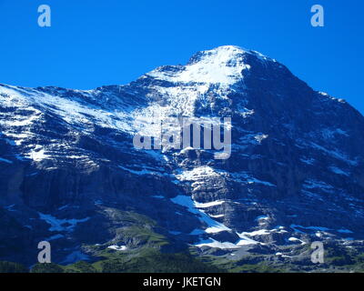 Hochgebirge Bereich Landschaft in der Nähe von GRINDELWALD Dorf in Schönheit Schweizer Alpen in der Schweiz mit schneebedeckten Gipfeln, Rasenflächen, klaren, blauen Himmel. Stockfoto