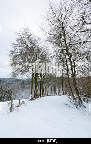 Winter mit tiefem Schnee nahe dem Dorf Eifel Monschau in Deutschland, eine unbefestigte Straße führt in das Bild. Stockfoto