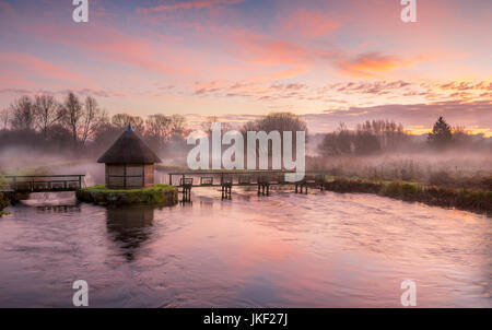 Longstock Aal fängt auf dem Fluss Test in Hampshire. Stockfoto