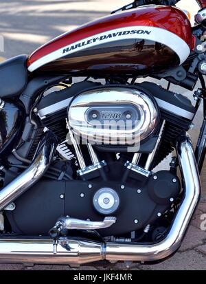 Harley Davidson 1200 custom Stockfoto