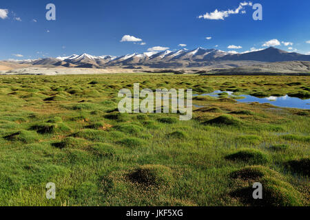 Blick auf Tso Kar-See in das Karakorum-Gebirge in der Nähe von Leh, Indien. Dieser See ist ein häufiges Ziel für Touristen. Stockfoto