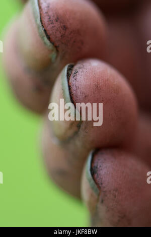 Gartenarbeit Hände mit Dreck unter den Fingernägeln Stockfoto