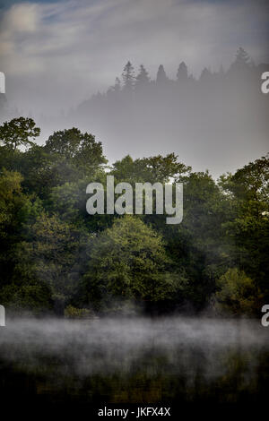 Morgennebel über Windermere ein großer See in Cumbria Lake District National Park, den größten natürlichen See in England landen Stockfoto