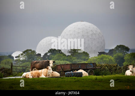 Royal Air Force Menwith Hill Station in der Nähe von Harrogate, North Yorkshire, England, größte elektronische monitoring-Station in der Welt, Radome sichtbar ove Stockfoto