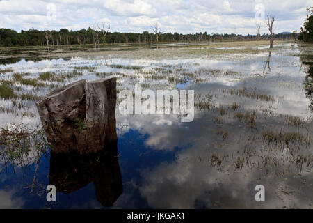 See auf Seite Weg zu Neak Pean (Neak Poan, die ineinander verschlungenen Schlangen), künstliche Insel mit buddhistischen Tempel auf kreisrunde Insel, die Mebon Preah Khan B Stockfoto