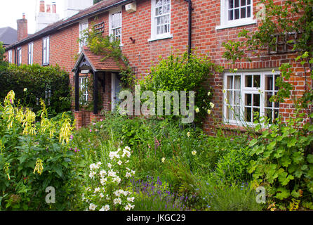 Ein Englisch-Cottage-Garten in Warsash in Hampshire zeigt einen Aufstand der chaotischen Farbe im Frühsommer Stockfoto