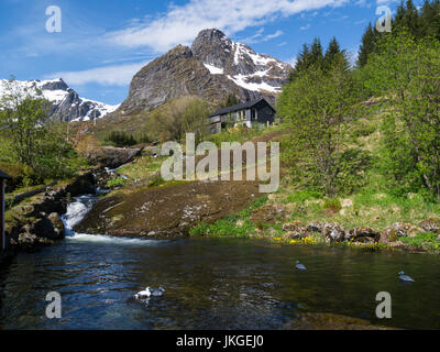 Kleiner Gebirgsbach fließt in alten erhaltenen Fischerdorf Nusfjord jetzt ein Museum Flakstadøy, eine der Hauptinseln der Lofoten-Inselgruppe Norwegen w Stockfoto