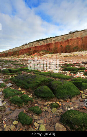 Brownstone und Kreidefelsen; Hunstanton Stadt; North Norfolk Küste; England-UK Stockfoto