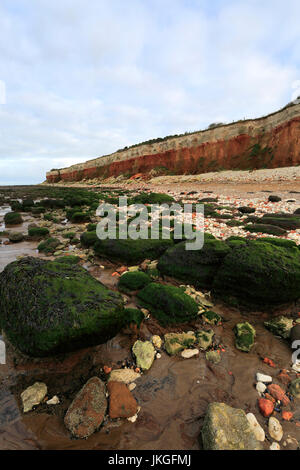 Brownstone und Kreidefelsen; Hunstanton Stadt; North Norfolk Küste; England-UK Stockfoto