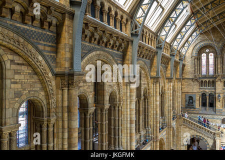 Die herrliche Hintze Hall im Natural History Museum, London, Großbritannien Stockfoto
