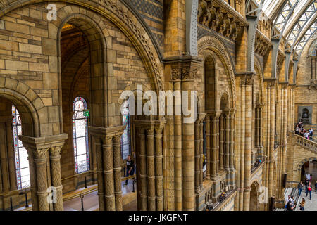 Die herrliche Hintze Hall im Natural History Museum, London, Großbritannien Stockfoto
