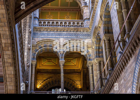Der herrliche Hintze-Halle an das Natural History Museum, London Stockfoto