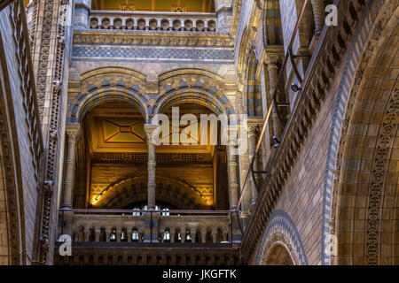 Der herrliche Hintze-Halle an das Natural History Museum, London Stockfoto