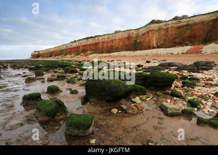 Brownstone und Kreidefelsen; Hunstanton Stadt; North Norfolk Küste; England-UK Stockfoto