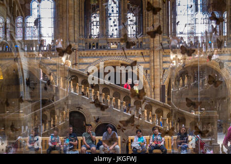 Die großartige Hintze Hall im Natural History Museum, London, Großbritannien Stockfoto