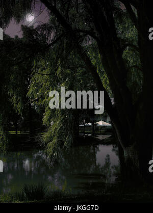 Weeping Willow Tree, Teich und Party Zelt in einer dunklen Nacht Stockfoto