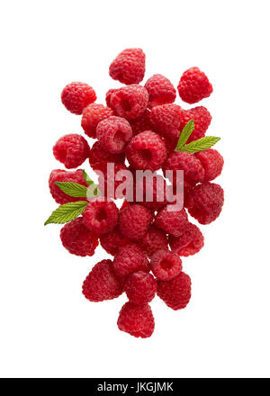 Frische Himbeeren mit Blättern auf weißem Hintergrund. Stockfoto