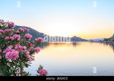 Kizkumu Strand mit Oleander Baum während des Sonnenuntergangs in Marmaris, Türkei Stockfoto