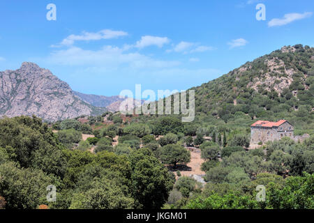 Desert des Agriates, Saint-Florent, Haute-Corse, Korsika, Frankreich Stockfoto