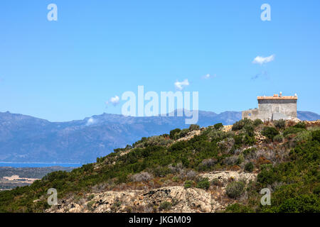 Desert des Agriates, Saint-Florent, Haute-Corse, Korsika, Frankreich Stockfoto