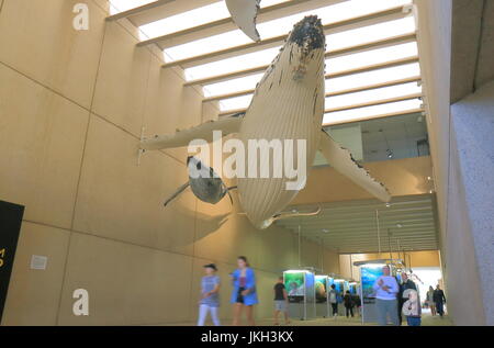 Queensland Museum und Sciencentre in Southbank in Brisbane Australien besuchen Menschen. Stockfoto