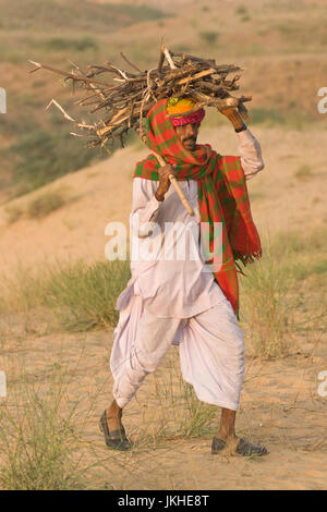 Kamel Herder tragen Holz für ein Feuer auf dem Jahrmarkt Pushkar in Rajasthan, Indien Stockfoto