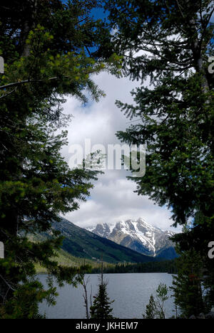 Der Grand Teton Bergkette von Jenny Lake, Wyoming, USA Stockfoto