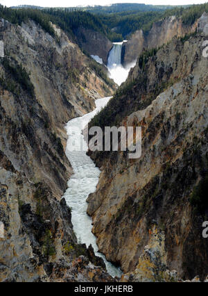 Lower Falls des TheYellowstone River im Grand Canyon of the Yellowstone National Park Stockfoto