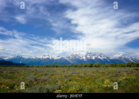 Grand Teton Nationalpark, Jackson Hole, Wyoming, USA Stockfoto