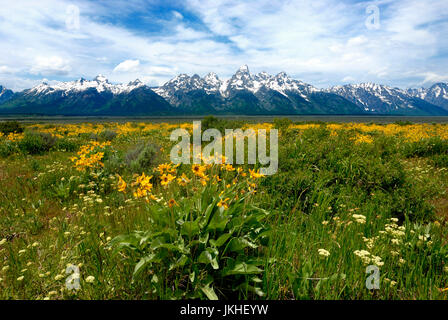 Grand Teton Nationalpark, Jakson Loch Stockfoto