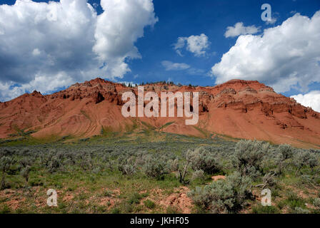 Red Hills, Gros Venture Wildnis, Bridger-Teton National Forest, Wyoming, USA Stockfoto