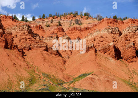 Red Hills, Gros Venture Wildnis, Bridger-Teton National Forest, Wyoming, USA Stockfoto
