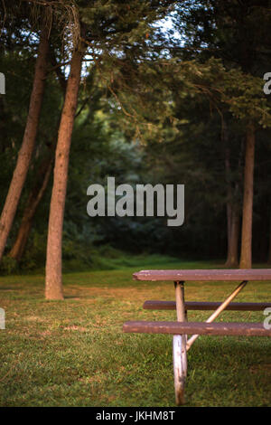 Goldenes Licht leuchtet ein schöner Ort für ein Picninc. Stockfoto