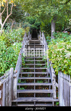 Schritte mit Überwuchterung, die den Weg an die Spitze des Hügels führt dem Coit Tower befindet. Stockfoto