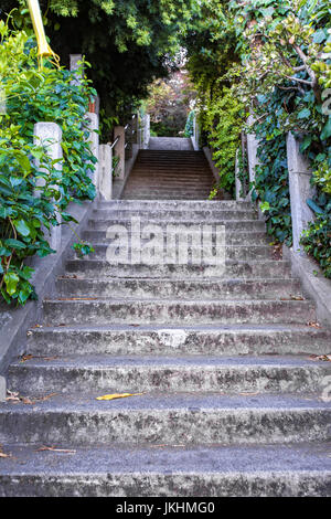 Schritte mit Überwuchterung, die den Weg an die Spitze des Hügels führt dem Coit Tower befindet. Stockfoto