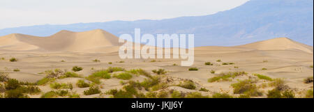 Morgendämmerung auf Mesquite Dünen im Death Valley Stockfoto