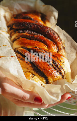 Weibliche Hände halten eine frisch gebackene Mohn Torte, close-up. Stockfoto