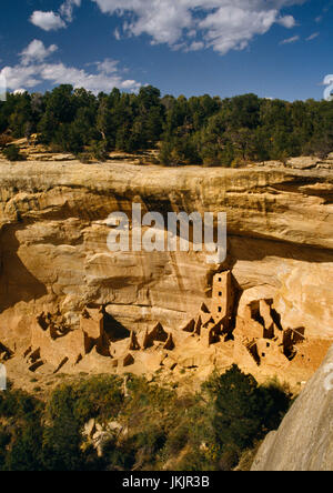 Quadratischer Wohnturm mehrstöckigen Klippe Wohnung, Mesa Verde, Colorado: N Blick Richtung SW Schleife Ruinen Straße auf Chapin Mesa: vier-geschossigen Hochhauses. Stockfoto