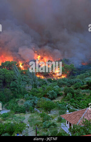 Zrnovnica, Split, Kroatien - 17. Juli 2017: Massive Lauffeuer brennen die Wälder und Dörfer in der Umgebung der Stadt Split Stockfoto