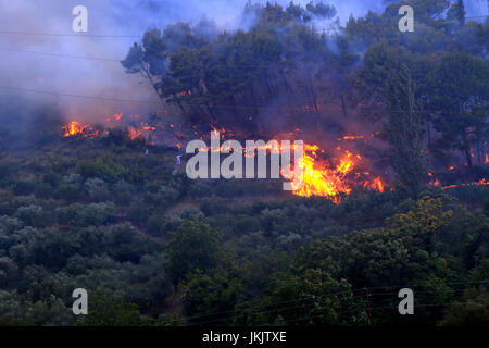 Zrnovnica, Split, Kroatien - 17. Juli 2017: Massive Lauffeuer brennen die Wälder und Dörfer in der Umgebung der Stadt Split Stockfoto