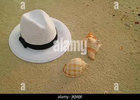 Weißer Strohhut auf dem Sandstrand mit zwei Arten von schönen natürlichen Muscheln Stockfoto