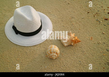 White hat mit zwei Arten von schönen natürlichen Muscheln am Strand von Thailand Stockfoto