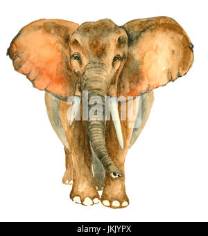 Aquarell handgezeichneten Elefant Stockfoto