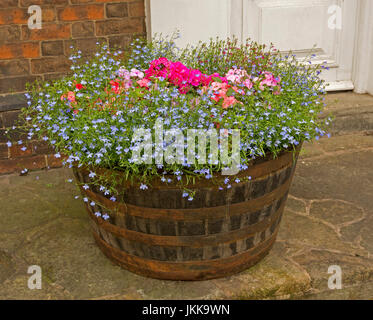 Masse der Blütenpflanzen, einschließlich blassen blauen Lobelien und lebendige rosa Geranien, wachsen in und Verschütten auf Seiten der alten hölzernen Behälter / Badewanne Stockfoto