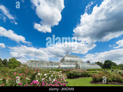 Kew Gardens Palmenhaus. Stockfoto