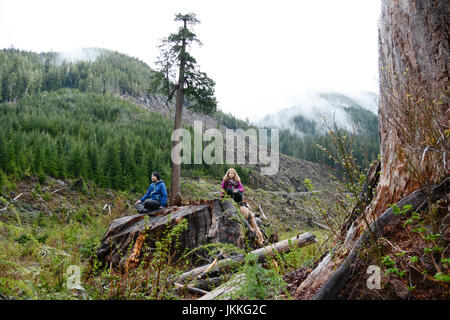 Kanadischer Umweltschützer auf einem Baum stumpf in der Nähe von 'Big einsam Doug"- ein riesiger Douglasie - in einen Kahlschlag, Port Renfrew, Britisch-Kolumbien, Kanada. Stockfoto