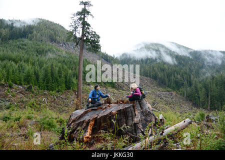 Kanadischer Umweltschützer auf einem Baum stumpf in der Nähe von 'Big einsam Doug"- ein riesiger Douglasie - in einen Kahlschlag, Port Renfrew, Britisch-Kolumbien, Kanada. Stockfoto