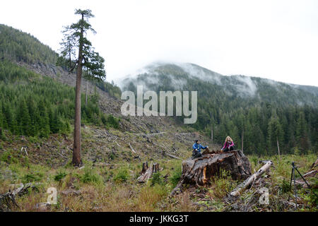 Kanadischer Umweltschützer auf einem Baum stumpf in der Nähe von 'Big einsam Doug"- ein riesiger Douglasie - in einen Kahlschlag, Port Renfrew, Britisch-Kolumbien, Kanada. Stockfoto