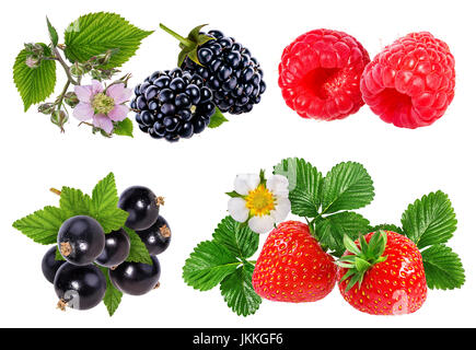 Sammlung von Beeren isoliert auf weißem Hintergrund Stockfoto